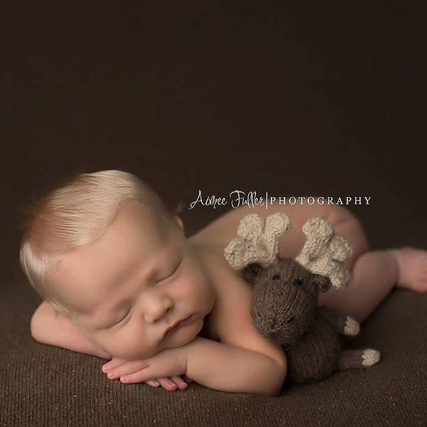 Moose Newborn Photography Prop, The Littlest Moose Hand Knit Bonnet and Stuffie, Made To Order, Newborn Size Bonnet