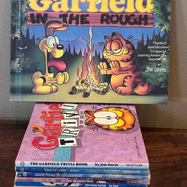 Vintage Garfield Comic Books - Buyer’s Choice
