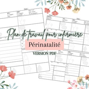May include: A black and white printable worksheet for nurses working in a perinatal setting. The worksheet is titled "Plan de travail pour infirmière" and includes sections for patient information, vital signs, and baby information. The worksheet is labelled "Version PDF".