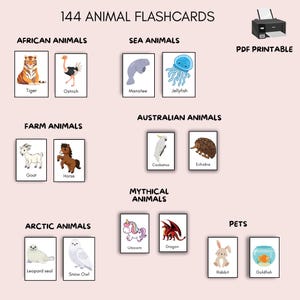 144 tarjetas didácticas de animales imprimibles para niños / Tarjetas didácticas Montessori / Imágenes realistas de animales para niños pequeños y preescolares