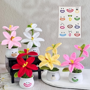 Adorable Crochet Lily Potted Plant,Funny Emoji Stickers for Plant Pot,Crochet Lily,Cute Gift for Friends/Teacher/Coworker,Crochet Desk Decor