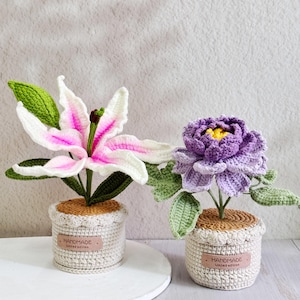 Adorable Handmade Crochet Peony and Lily,Crochet Flower in Pot,Gift for her,Birthday Gift,Desk Decor,Crochet Potted Plant,Crochet Decoration