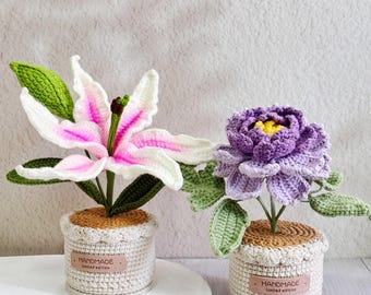Adorable Handmade Crochet Peony & Lily,Crochet Flower in Pot,Gift for her,Birthday Gift,Desk Decor,Crochet Potted Plant,Mother's Day Gift