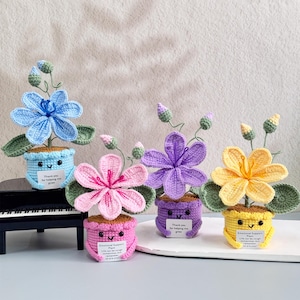 Personalized Handmade Crochet Tung Flower,Crochet Flower in Pot,Emotional Support Plant,Thank You Gifts for Teacher/Parents/Friend/Colleague