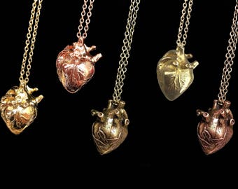 Three Dimensional Anatomical Heart Necklace - Select Your Finish!