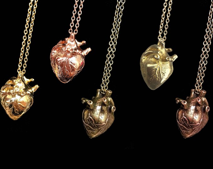 Three Dimensional Anatomical Heart Necklace Select Your Etsy
