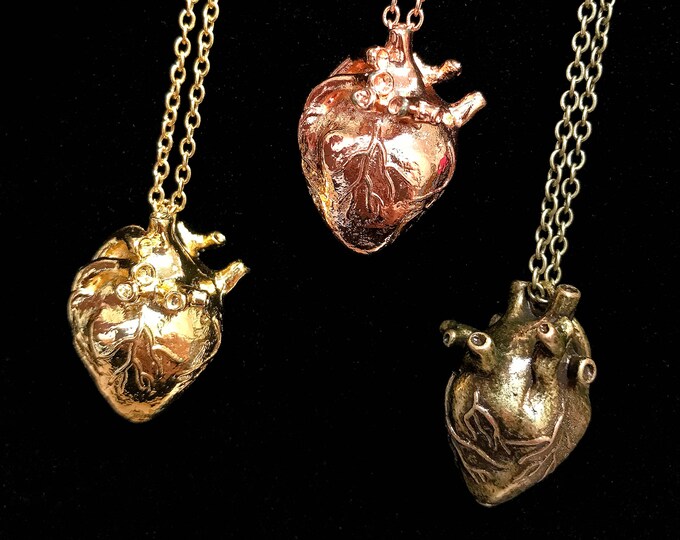 Three Dimensional Anatomical Heart Necklace Select Your Finish Etsy