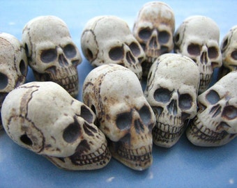 10 High Fired Skulls - long jaw - HIFI 192