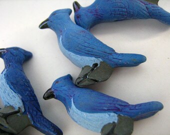 10 Large Blue Jay Beads - LG216