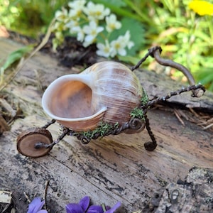 Könnte beinhalten: Eine Miniatur-Schubkarre aus Schneckenhaus, Holz und Draht, mit dem Text "Miniatur Schubkarre" oben. Die Schubkarre ist mit Moos verziert und steht auf einer Holzoberfläche, mit violetten Blumen im Vordergrund.