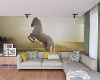 White Wild Stallion Wall Mural | Horse Nature Wallpaper | Sunrise Landscape Art Peel Stick Decor