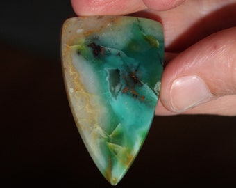 Opal and Fossilized CABS