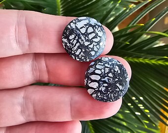 SET of  Petrified palm wood cabochons, fossilized wood cabochon pair, petrified wood cabochons,  natural stone