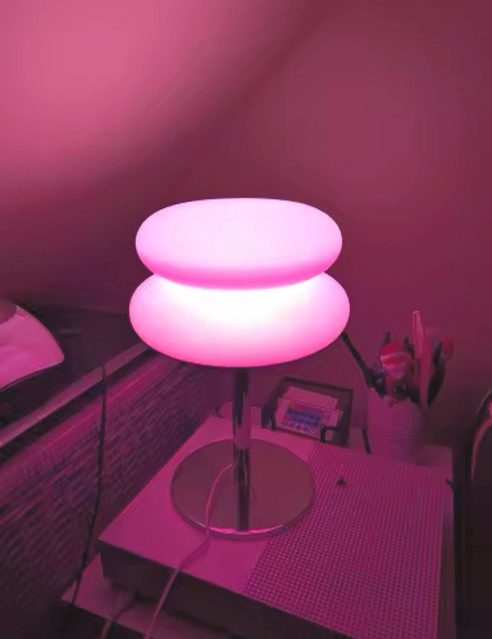 Rose LED Table Lamp – 3 Light Colors, 10 Brightness Levels, USB Powered ...