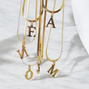 Collar con inicial personalizado en acero inoxidable dorado, plateado o dorado rosa: joyería moderna con nombre y letra, regalo elegante para mujer.