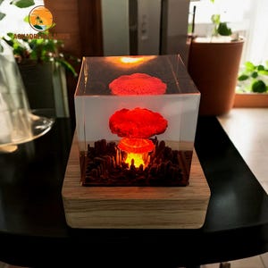 Könnte beinhalten: Eine rote und orangefarbene Pilzwolken-Skulptur, die in einem durchsichtigen Würfel mit einer Holzbasis eingeschlossen ist. Die Skulptur wird von unten beleuchtet, wodurch ein leuchtender Effekt entsteht.