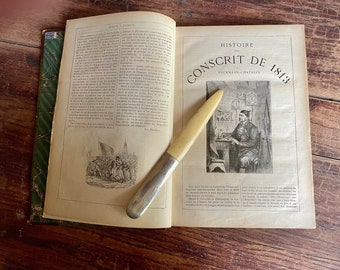 Antique French Napoleonic Novel,  Leather Marbleized Book, Historie D'Un Conscrit De 1813, Waterloo Illustrations