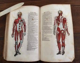 Antique 1847 Domestic Medicine Book William Buchan Medical Anatomy Plates Early American Edition