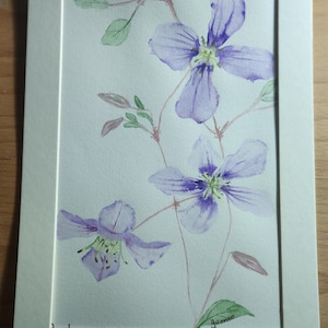 watercolour original