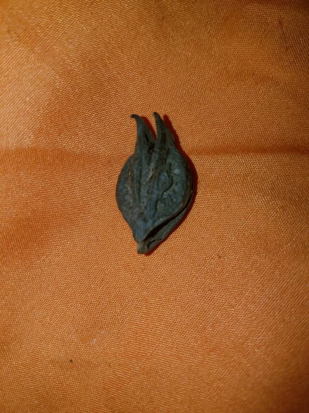 Bat Head Rootpod,voodoo, Hoodoo, Witchcraft Etsy