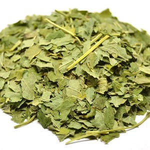 Black Currant Tea Wholesale available | Black Currant Leaf | Ribes nigrum| Herbal | Loose | Herb | Fresh Harvested | Premium Quality