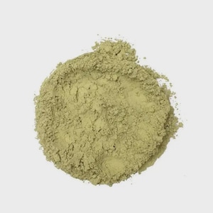 Wholesale available Aspen Tree Bark powder. Populus Tremuloides. Populus tremula bark
