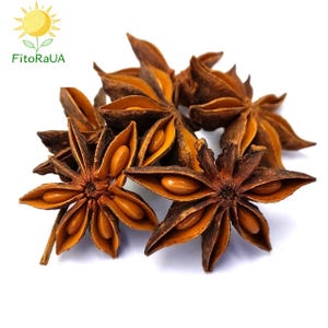 Star Anise Wholesale available  |Premium Qualityr Anise Stars | Illicium verum| Herbal | Loose | Herb | Fresh Harvested |