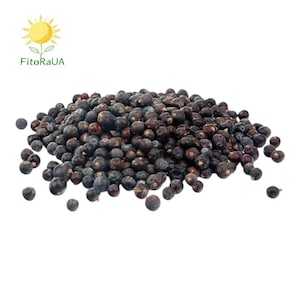 Wholesale available Dried blackcurrant berries Dried black currant / Dried Black Currants/ Dried Black Currants Ribes nigrum