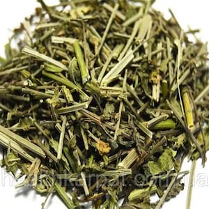 Vervain Groothandel beschikbaar | IJzerkruid | Wildcrafted Vervain| Vervain | Verbena officinalis