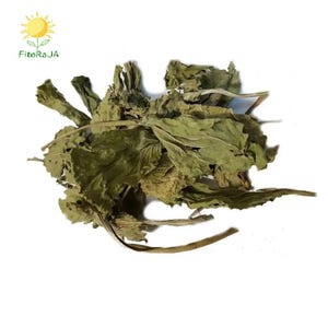 Wholesale available Organic PLANTAIN LEAF | Plantago Major | Plantain Tea | Herbal Tea | Dried Herbs | Organic Herbs | Herba