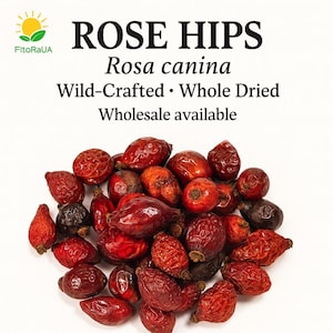 Groothandel beschikbare rozenbottels Wild Crafted Whole Dried ~ Rosa Canina