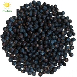 Bayas de enebro disponibles al por mayor / Bayas de enebro enteras / Juniperus communis