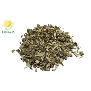 Aspen Bark | Populus Tremula Wholesale available