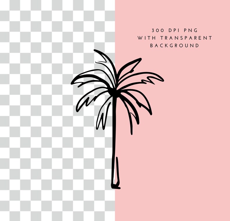 May include: A black and white line drawing of a palm tree with a pink background.