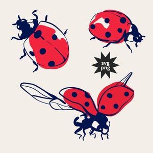 May include: Illustration of three ladybugs in red and navy blue. One ladybug is shown with its wings open, while the other two are closed. The ladybugs have black spots and are set against a cream background. The text "svg png" is in a black starburst.