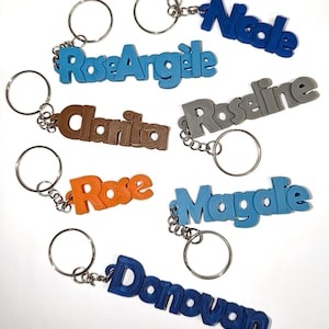 Puede incluir: Una colección de llaveros personalizados en varios colores, incluyendo azul, marrón, naranja y gris. Cada llavero presenta un nombre en una fuente 3D, unido a un llavero plateado. Los nombres incluyen Nicole, RoseArgèle, Clarita, Roseline, Rose, Magale y Donovan.