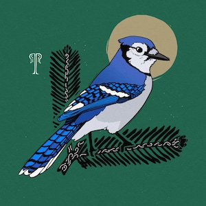 Blue Jay (Giclee Print)