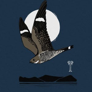 May include: Illustration of a bird in flight against a dark blue background. The bird has brown and black wings, with a white accent on each wing. A white circle, representing the moon, is behind the bird. Below, a dark silhouette of a landscape.
