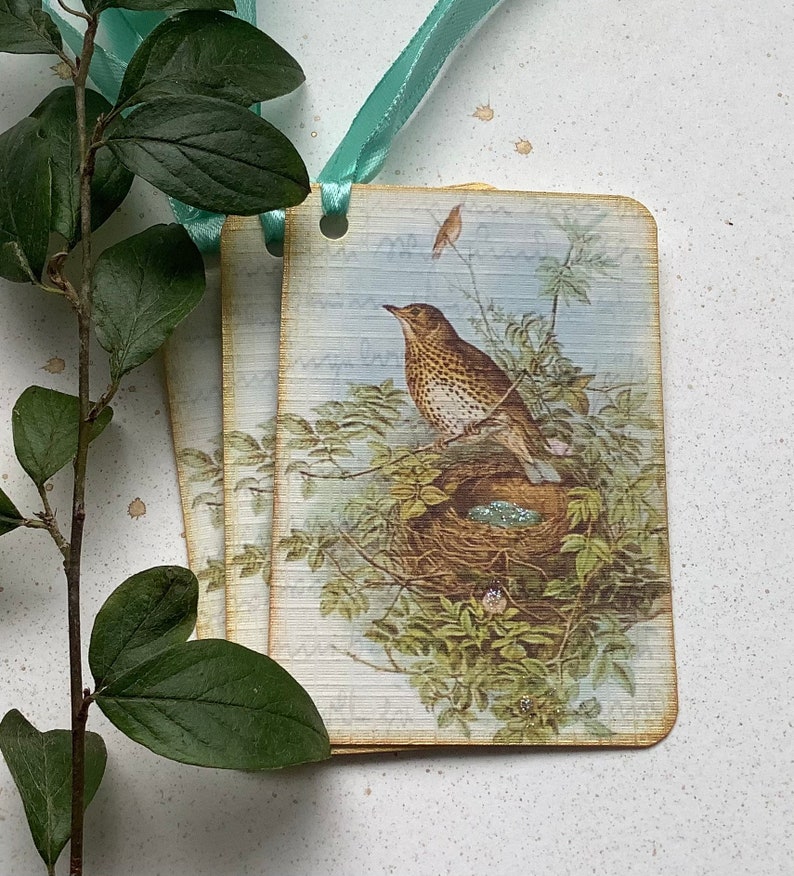 GIFT TAGS , pack of 3 . ' Song Thrush ' . Vintage-style . Bird. Nest . Spring . Hang tags .Wedding .UK seller..ready to ship.. image 1