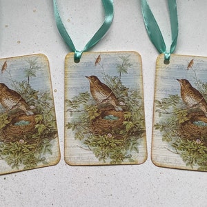 GIFT TAGS , pack of 3 . ' Song Thrush ' . Vintage-style . Bird. Nest . Spring . Hang tags .Wedding .UK seller..ready to ship.. image 3