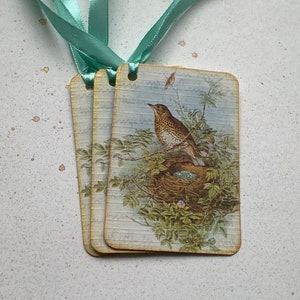 GIFT TAGS , pack of 3 . ' Song Thrush ' . Vintage-style . Bird. Nest . Spring . Hang tags .Wedding .UK seller..ready to ship.. image 6