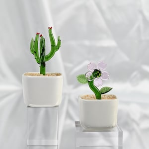Fused Glass Cactus Pots Set: Stained Glass Succulents, Car Decor