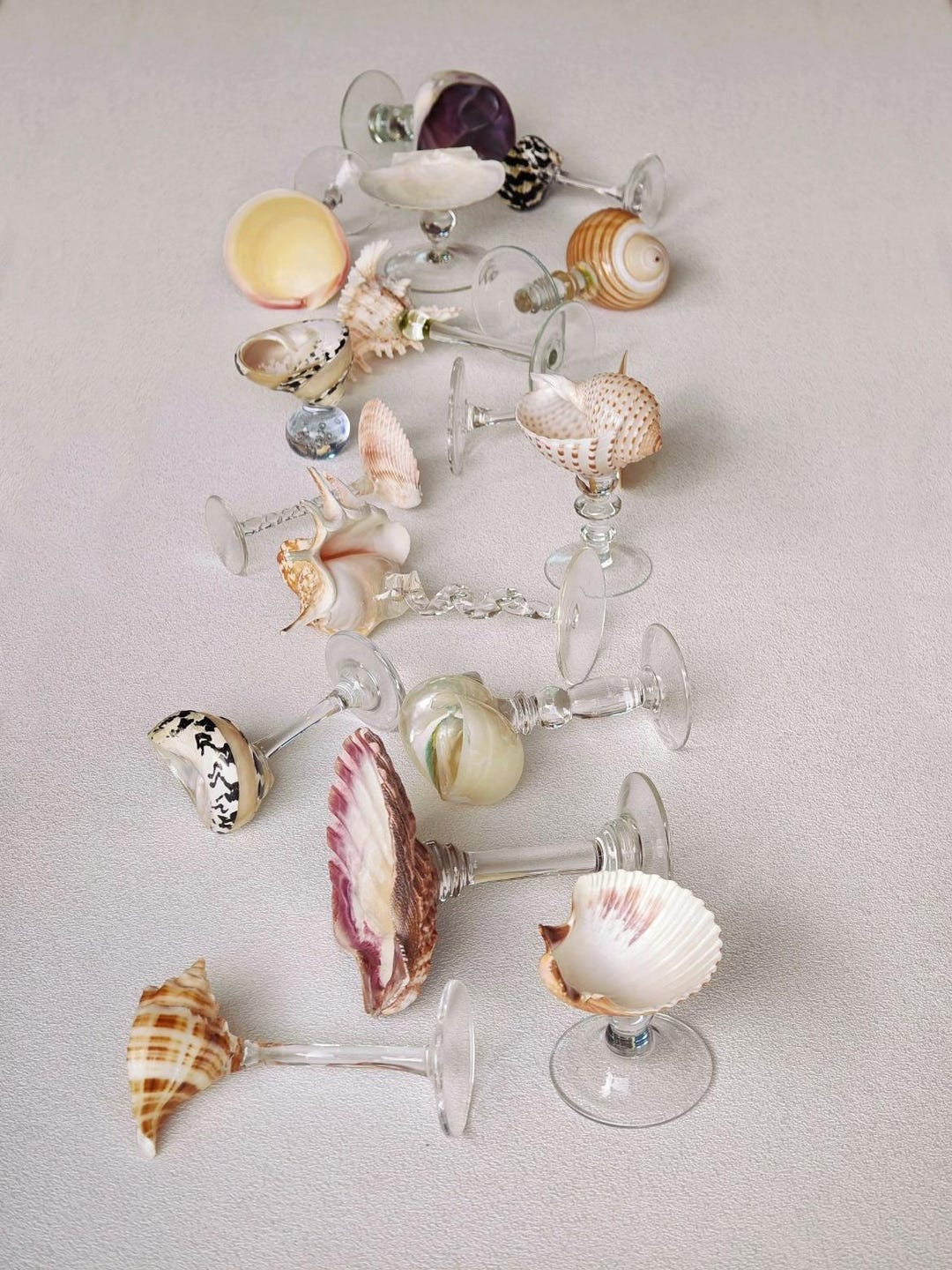 Sea Shell Wine Rack Handmade Seashell Wine Glasses | Coastal Decor, Beach Wedding - Etsy