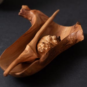 Natural tea scoop for tea ceremony. Handmade Cha he