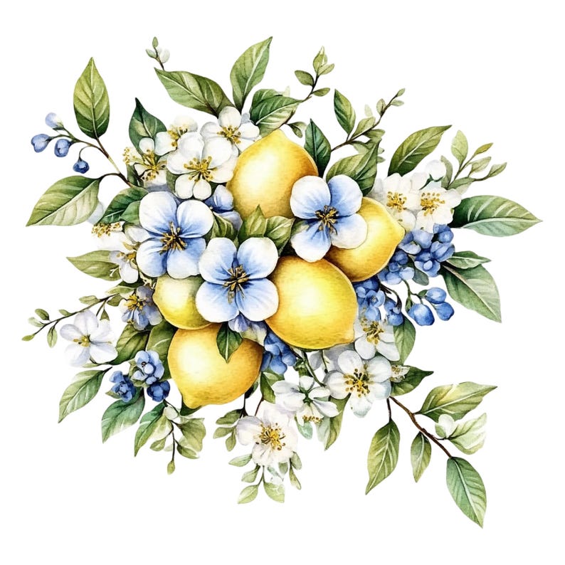 Lemon Blossom PNG Clipart Watercolor Floral Art 42 PNG - Etsy
