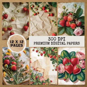 Vintage Strawberry Junk Journal Pages: Printable Ephemera (18 JPG, 12x12 inches)