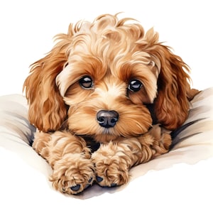 May include: A watercolor illustration of a Cavapoo puppy with brown fur and large, dark eyes. The puppy is lying on a white pillow, with its paws visible. The image has a soft, inviting feel, perfect for pet lovers.