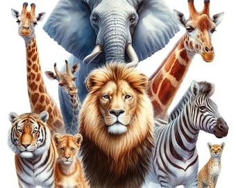 Wild Animals of Africa PNG Clipart Bundle Digital Download 32 Png Set
