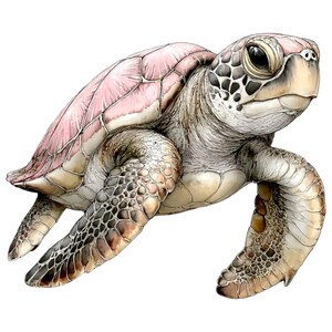 May include: A detailed illustration of a sea turtle with a pink and beige shell. The turtle's head and limbs are a mix of beige and gray, with dark spots. The artwork has a realistic style, showcasing the turtle's texture and form.