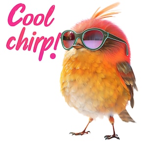 24 PNG Funny Quirky Birds Sublimation,Color clipart,Digital download, digital clipart, clipart, Watercolor clipart, PNG dijital download